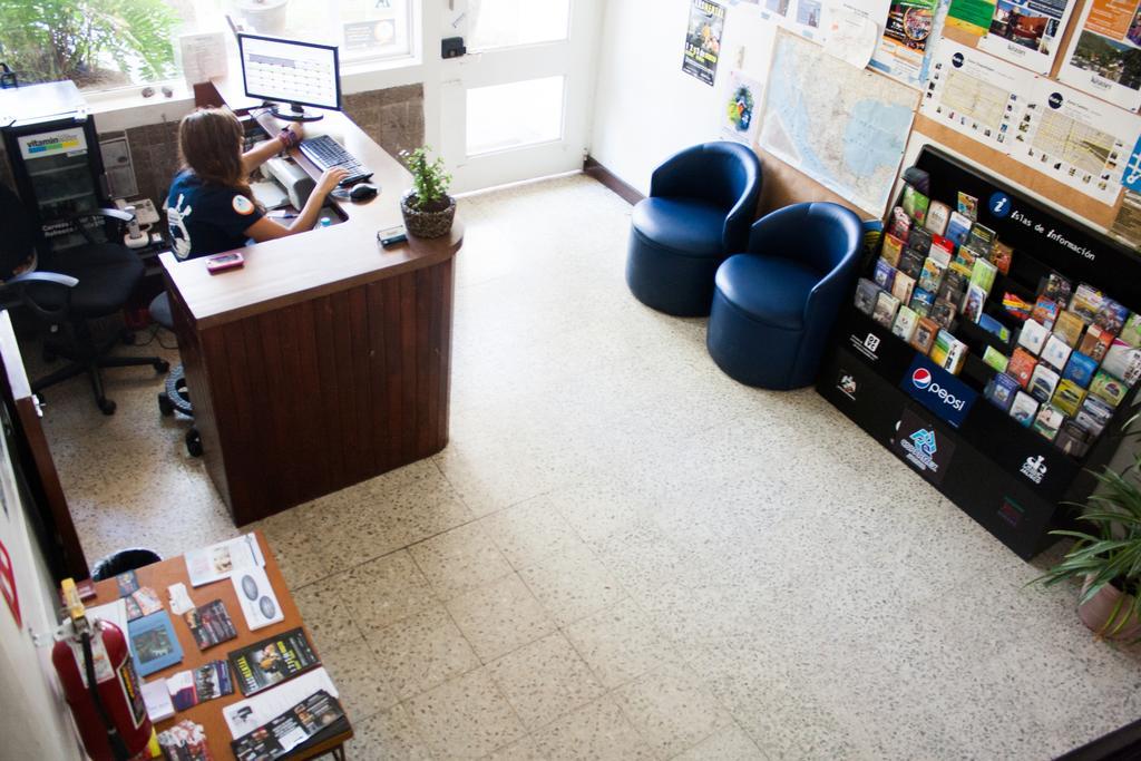 גואדלחארה Hostel Hospedarte Chapultepec מראה חיצוני תמונה